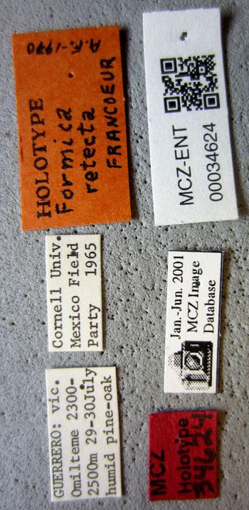 Media type: image;   Entomology 34624 Aspect: lbsa